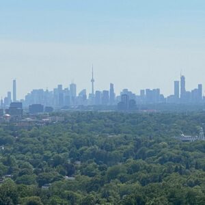 7 Fenelon View